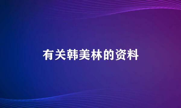 有关韩美林的资料