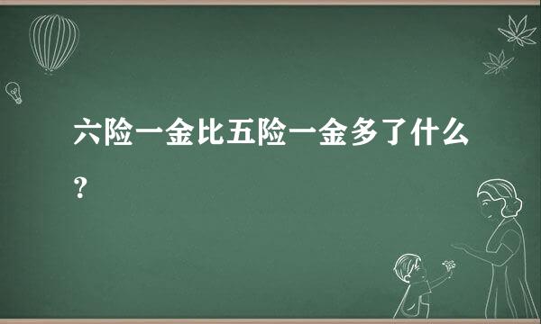 六险一金比五险一金多了什么？