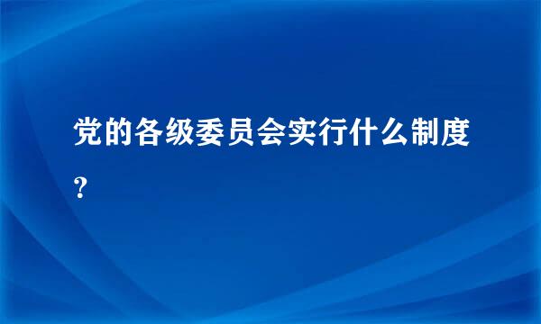 党的各级委员会实行什么制度？