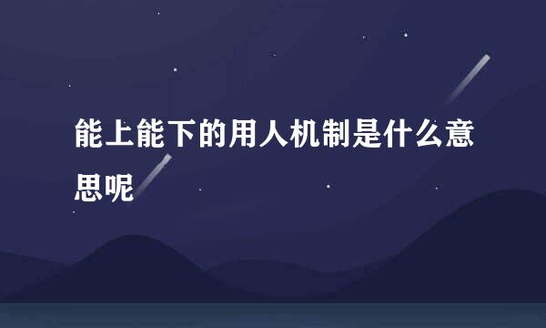 能上能下的用人机制是什么意思呢