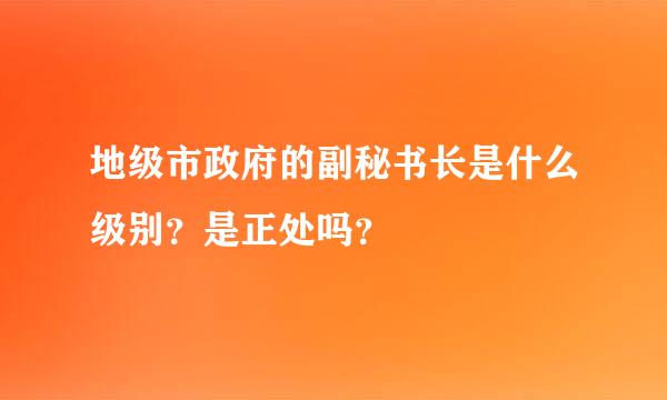 地级市政府的副秘书长是什么级别？是正处吗？