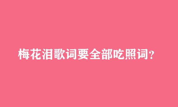 梅花泪歌词要全部吃照词？