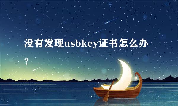 没有发现usbkey证书怎么办？