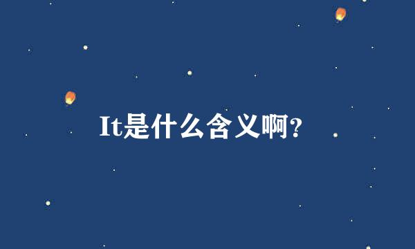 It是什么含义啊？