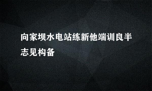 向家坝水电站练新他端训良半志见构备