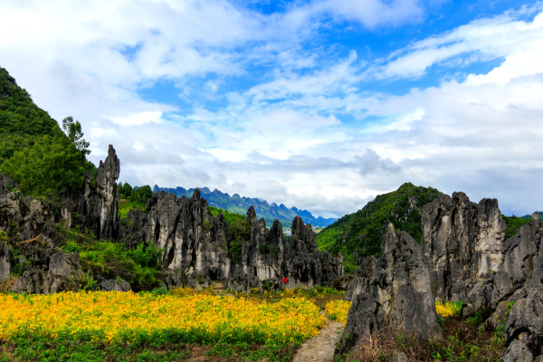 兴义十大旅游景点大全