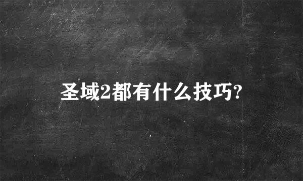 圣域2都有什么技巧?