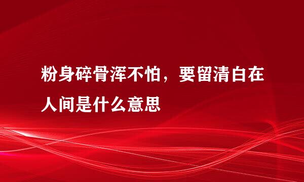 粉身碎骨浑不怕，要留清白在人间是什么意思