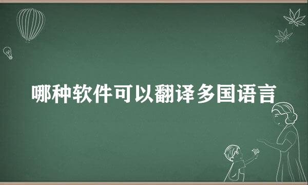 哪种软件可以翻译多国语言