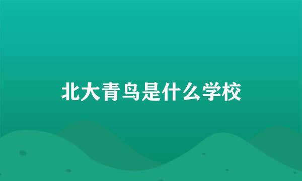 北大青鸟是什么学校