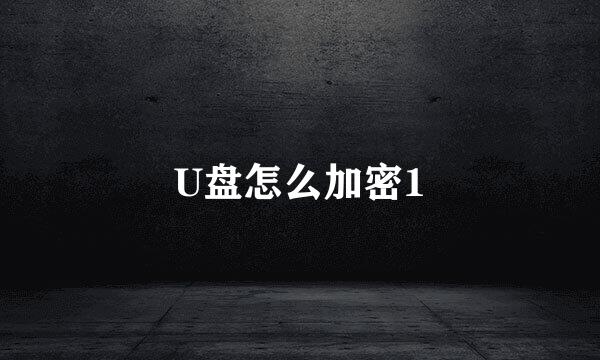 U盘怎么加密1