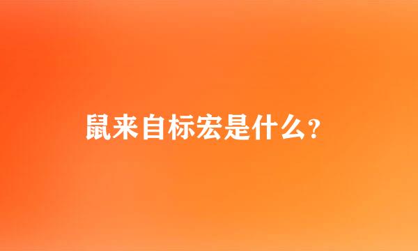 鼠来自标宏是什么？