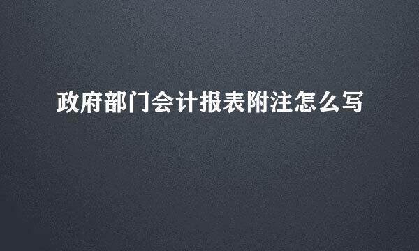 政府部门会计报表附注怎么写