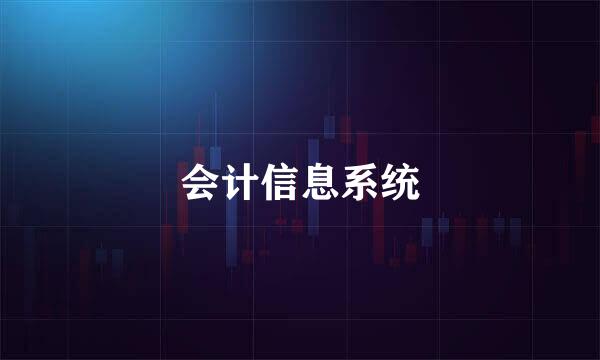 会计信息系统