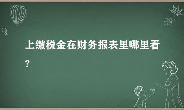 上缴税金在财务报表里哪里看？