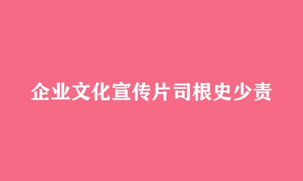 企业文化宣传片司根史少责