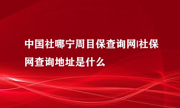 中国社哪宁周目保查询网|社保网查询地址是什么