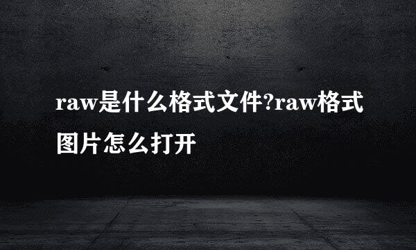 raw是什么格式文件?raw格式图片怎么打开