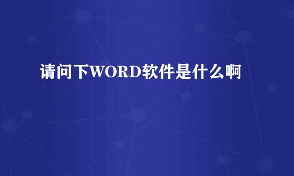 请问下WORD软件是什么啊