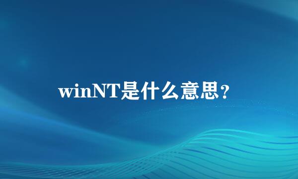 winNT是什么意思？