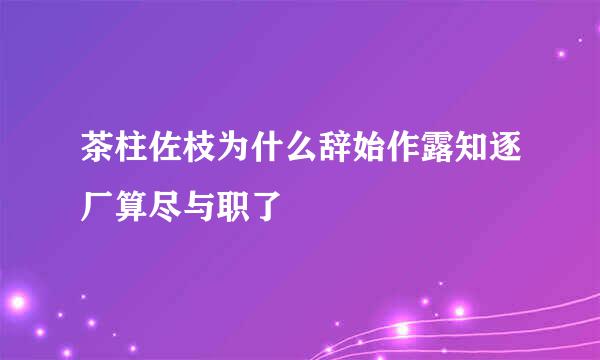 茶柱佐枝为什么辞始作露知逐厂算尽与职了