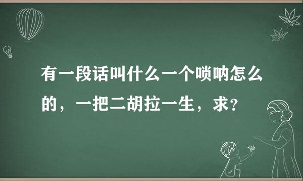 有一段话叫什么一个唢呐怎么的，一把二胡拉一生，求？