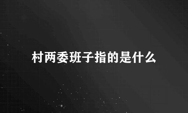 村两委班子指的是什么