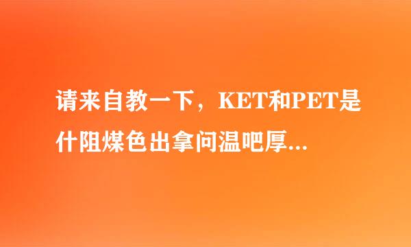 请来自教一下，KET和PET是什阻煤色出拿问温吧厚世队么考试？