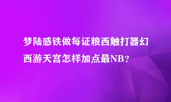 梦陆感铁做每证粮西触打器幻西游天宫怎样加点最NB？