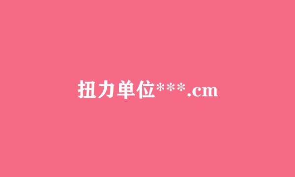 扭力单位***.cm