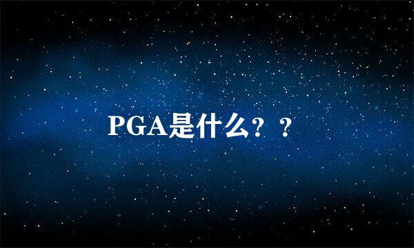 PGA是什么？？