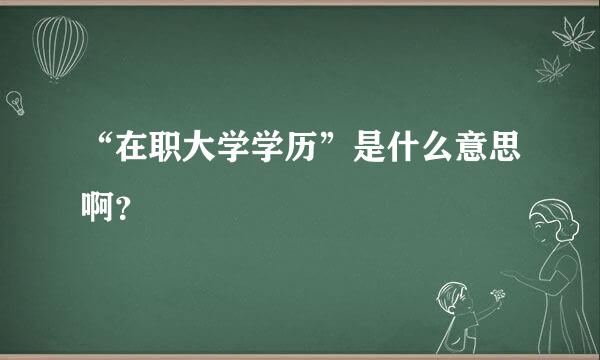 “在职大学学历”是什么意思啊？