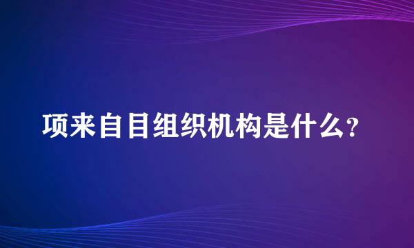 项来自目组织机构是什么？