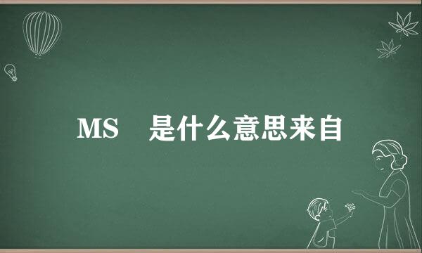 MS 是什么意思来自