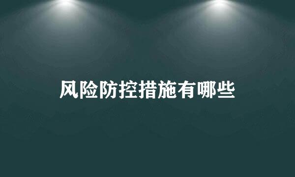 风险防控措施有哪些