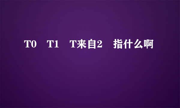 T0 T1 T来自2 指什么啊