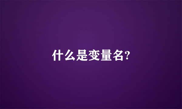 什么是变量名?