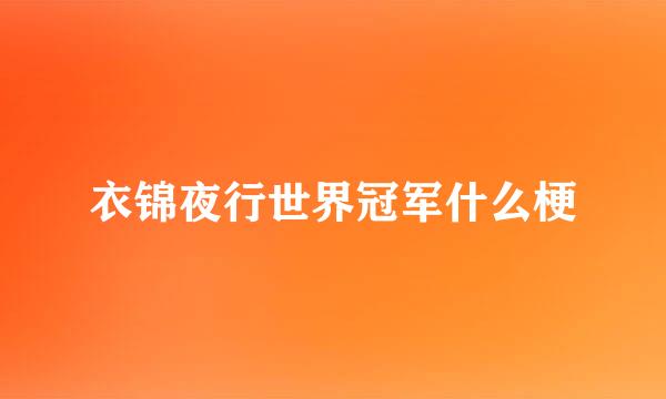 衣锦夜行世界冠军什么梗