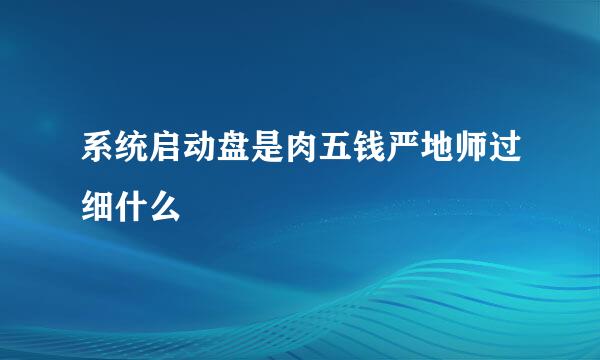 系统启动盘是肉五钱严地师过细什么