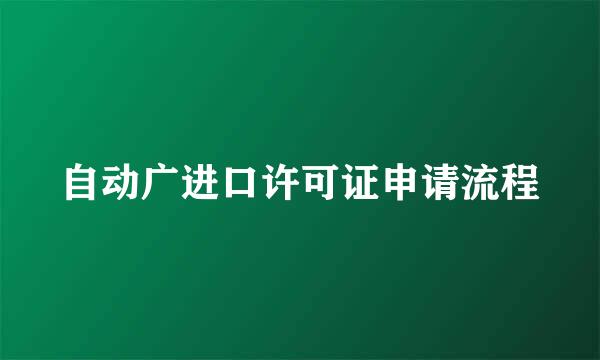 自动广进口许可证申请流程