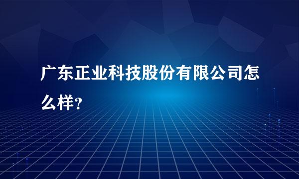 广东正业科技股份有限公司怎么样？