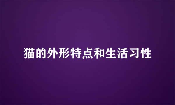 猫的外形特点和生活习性