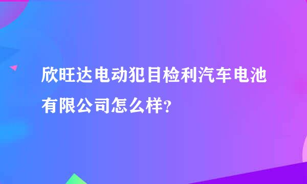 欣旺达电动犯目检利汽车电池有限公司怎么样？