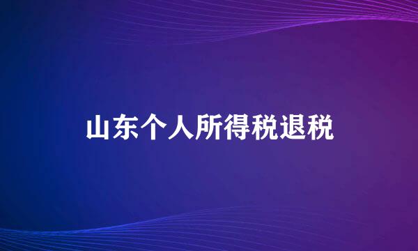 山东个人所得税退税