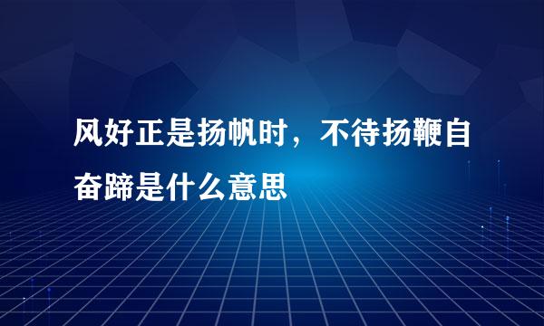 风好正是扬帆时，不待扬鞭自奋蹄是什么意思