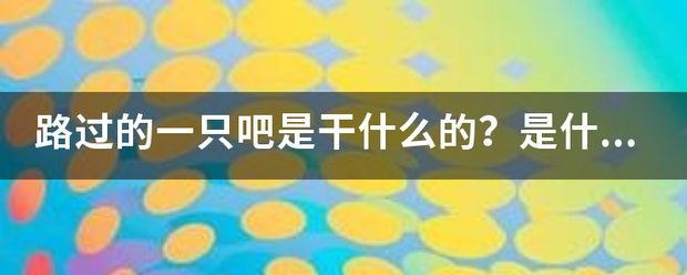 路过的一只吧是干什么来自的？是什么人管理的？越具体越好。