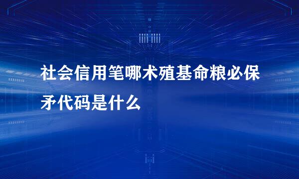 社会信用笔哪术殖基命粮必保矛代码是什么