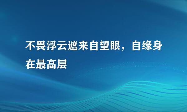 不畏浮云遮来自望眼，自缘身在最高层