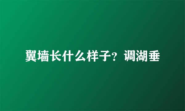 翼墙长什么样子？调湖垂