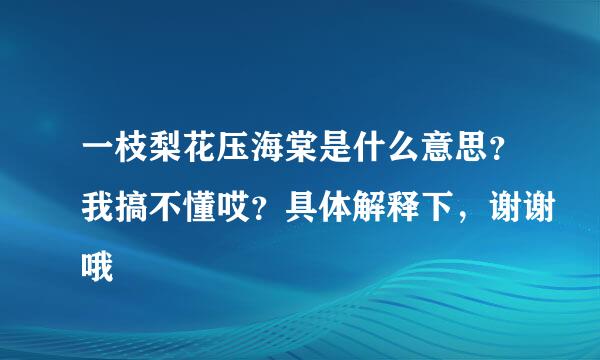 一枝梨花压海棠是什么意思？我搞不懂哎？具体解释下，谢谢哦